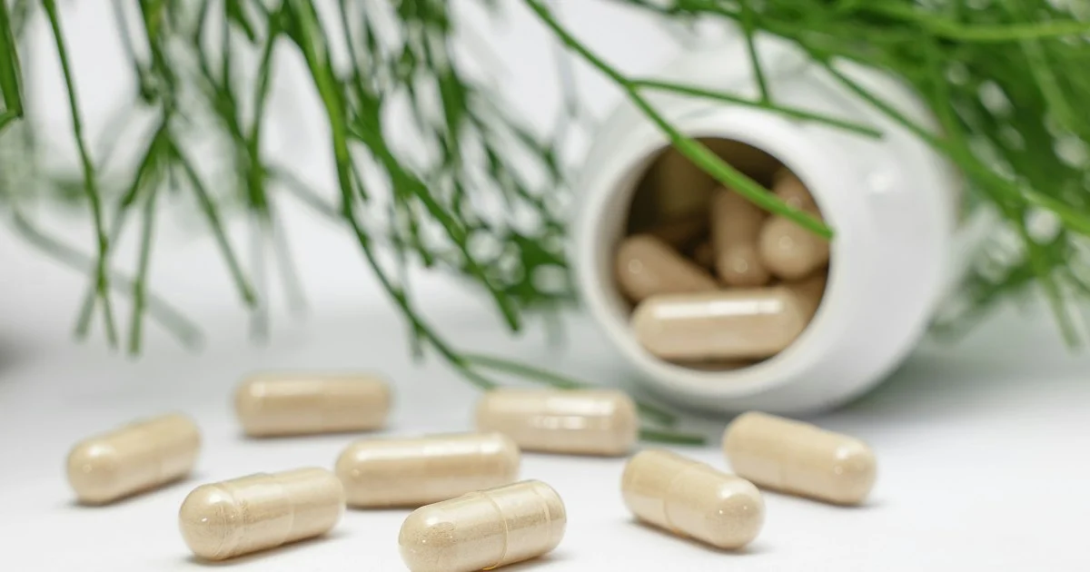 Beige capsules spilled from a plain white bottle beside green foliage, the unlabeled reality behind the best probiotic supplements 2026 decision